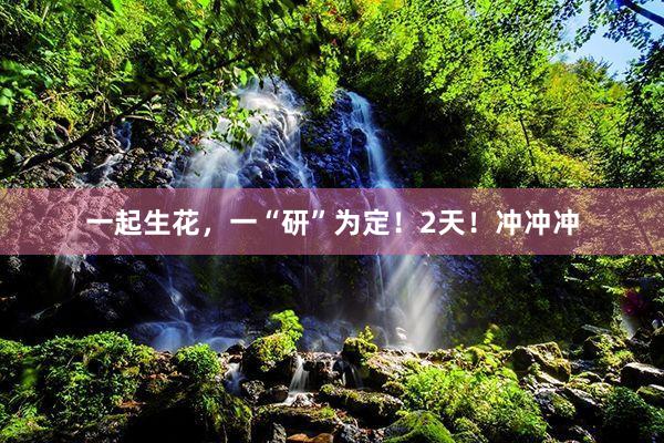 一起生花，一“研”为定！2天！冲冲冲