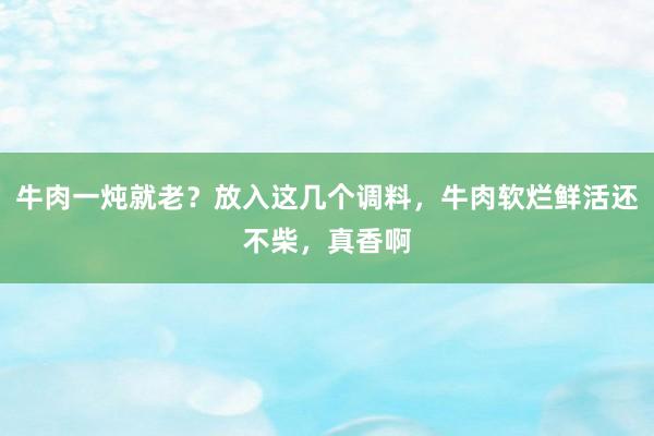 牛肉一炖就老？放入这几个调料，牛肉软烂鲜活还不柴，真香啊